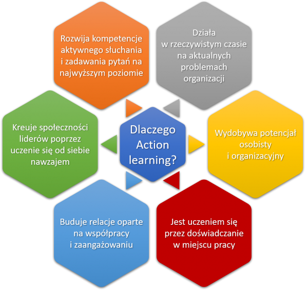 Action_learning